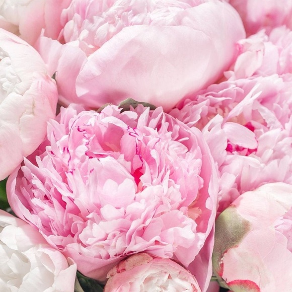 Meet your Posher, Kelly - Picture 1 of 1